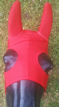 Earmuffs, Red, Rubber Ears, Lycra Hood, Velcro, Ornella